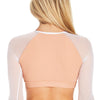 The Rocky Top in Dream On