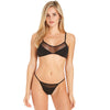 The Stevie Bottom in Spellbound